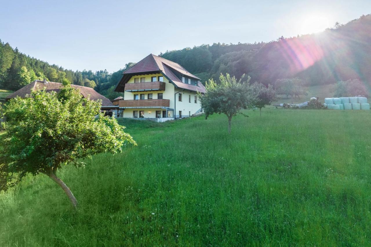 Ferienwohnung Ohnemus Schuttertal Экстерьер фото